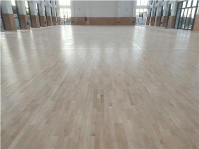 岳陽(yáng)平江縣福壽山鎮(zhèn)吉星村抽水蓄能電站體育館