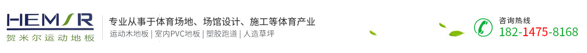 安徽實(shí)陽(yáng)體育設(shè)施工程有限公司